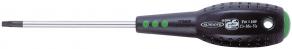 STAR GS APPROVAL SCREWDRIVER